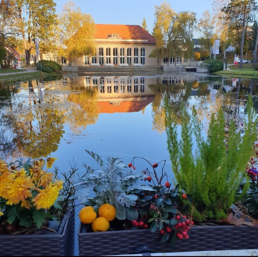 Hotel Garni Schloss Schoenberg Бад Брамбах Екстериор снимка